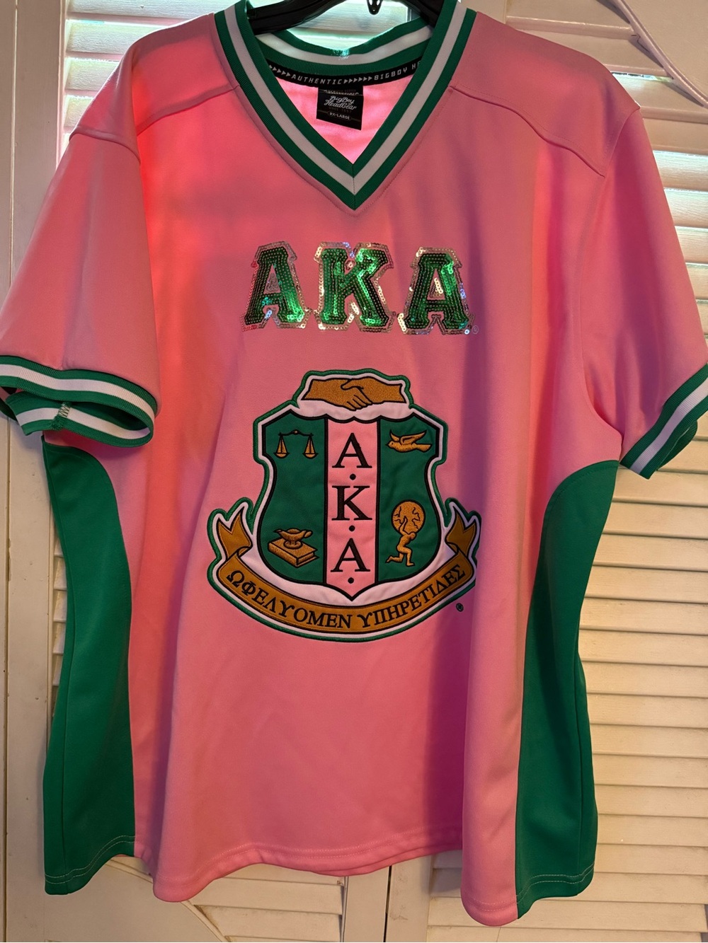 AKA Pink and Green Jersey 2x NWOT